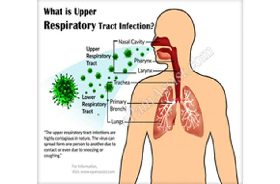 Upper Respiratory Infection Coughing Up Blood Human Body Anatomy My